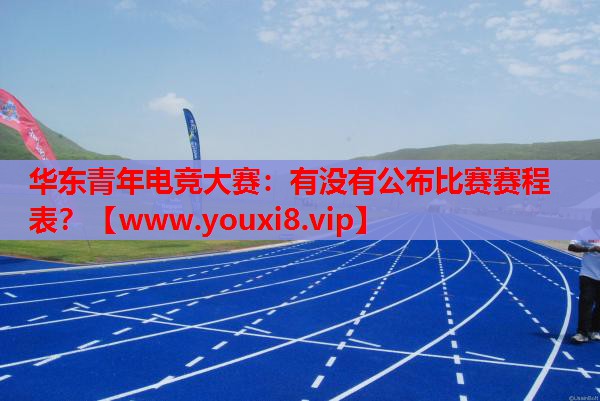 华东青年电竞大赛：有没有公布比赛赛程表？
