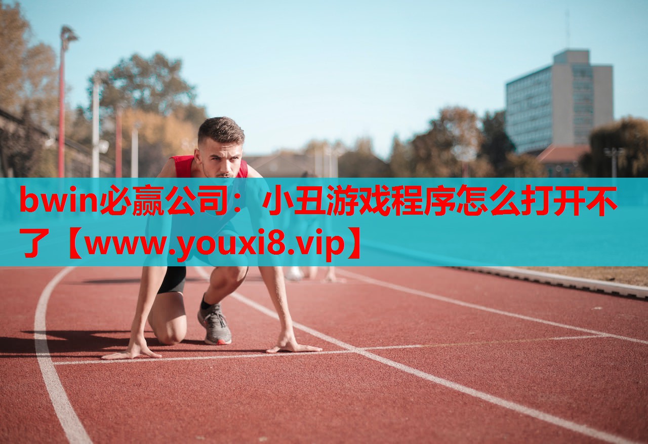 小丑游戏程序怎么打开不了