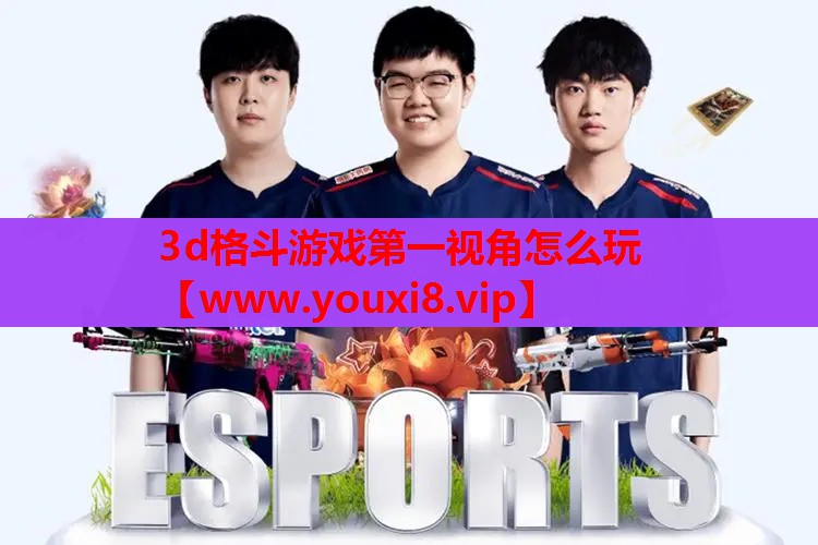 3d格斗游戏第一视角怎么玩
