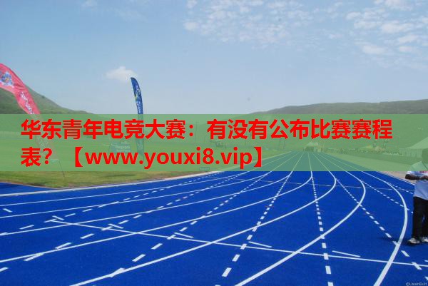华东青年电竞大赛：有没有公布比赛赛程表？