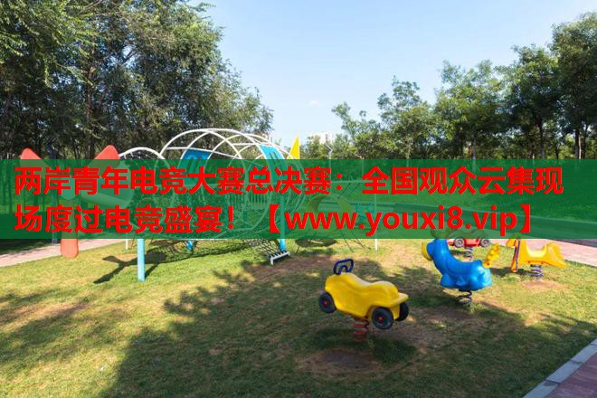 两岸青年电竞大赛总决赛：全国观众云集现场度过电竞盛宴！