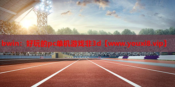好玩的pc单机游戏非3d